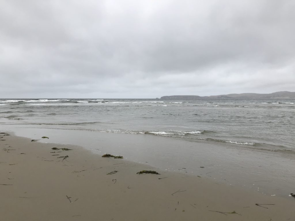 Tomales Bay Tide Chart