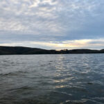 kayaking Tomales Bay