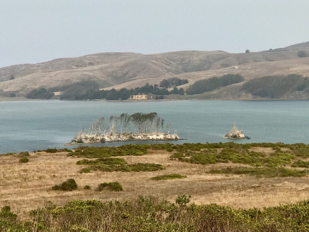 Hog Island, photo by Dave Weidlich, from Pt Reyes National Seashore